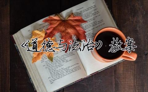 《道德與法治》教案 我們有新玩法道德與法治教案（精選合集12篇）