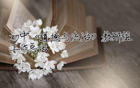初中《道德與法治》教研組工作總結 初中道德與法治教研活動內容（精選合集7篇）