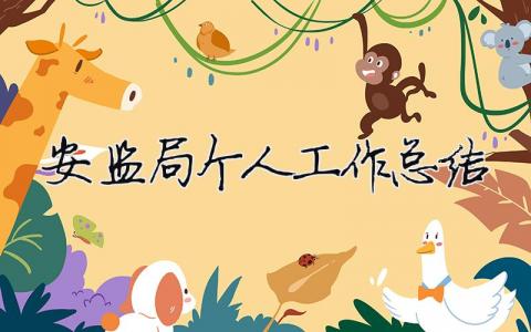 安監局個人工作總結 安監工作個人年終總結（精選合集9篇）