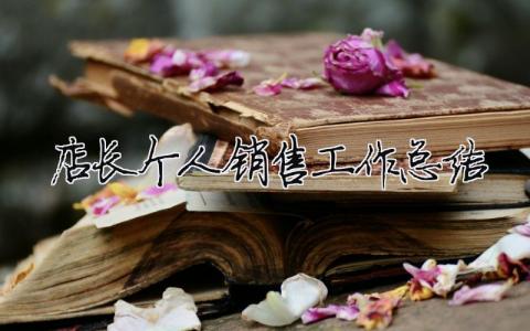 店長個人銷售工作總結 2020年銷售店長年終工作總結（精選合集11篇）