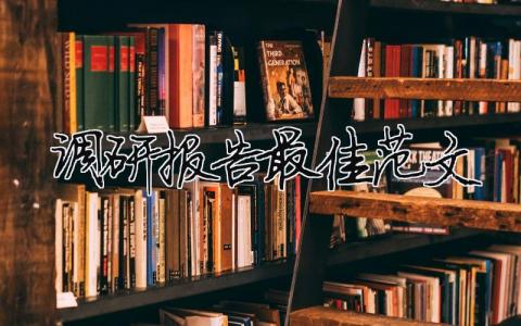 調研報告最佳范文2024 調研報告最佳范文2024年版（精選合集10篇）