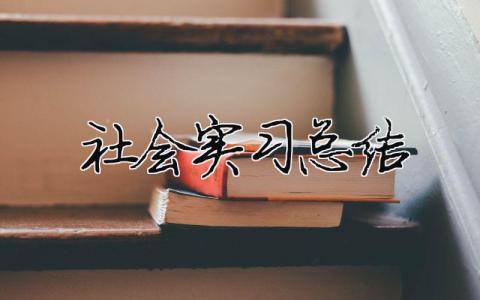社會實習總結 社會實踐總結（精選合集10篇）