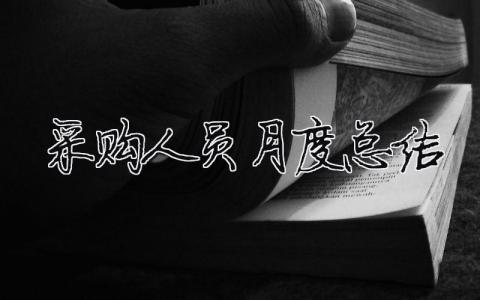采購人員月度總結 采購員月工作總結和下月計劃（精選合集7篇）
