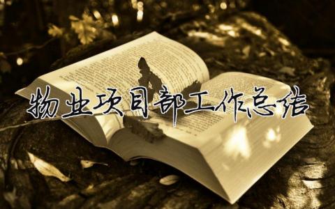 物業項目部工作總結 物業項目部2020年工作計劃（精選合集12篇）