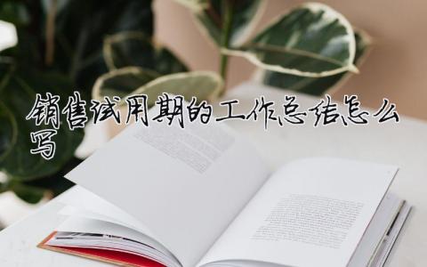 銷售試用期的工作總結怎么寫 銷售試用期間工作總結怎么寫（精選合集9篇）