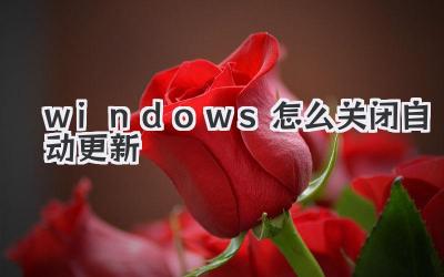 windows怎么關(guān)閉自動(dòng)更新