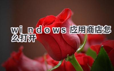 windows應用商店怎么打開
