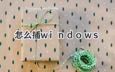 怎么插windows