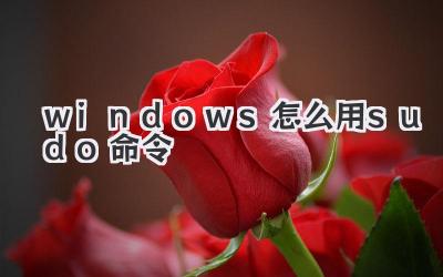 windows怎么用sudo命令