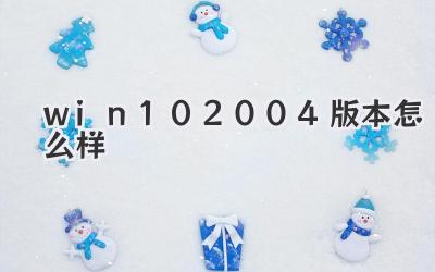 win102004版本怎么樣