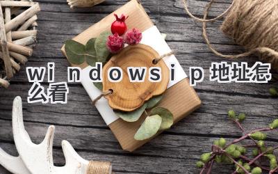 windows ip地址怎么看