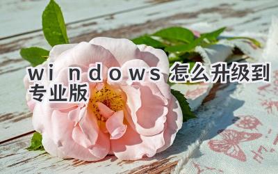 windows怎么升級到專業(yè)版