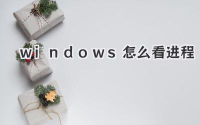 windows怎么看進程
