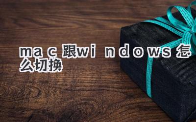 mac跟windows怎么切換