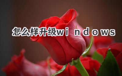 怎么樣升級windows