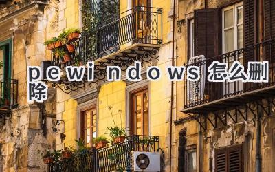 pe windows怎么刪除