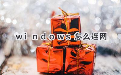 windows怎么連網