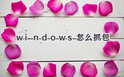 windows怎么抓包