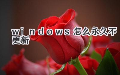 windows怎么永久不更新