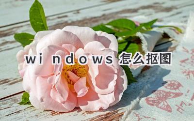 windows怎么摳圖