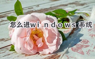 怎么進windows系統