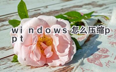 windows怎么壓縮ppt