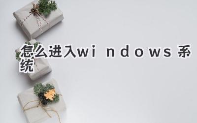 怎么進入windows系統