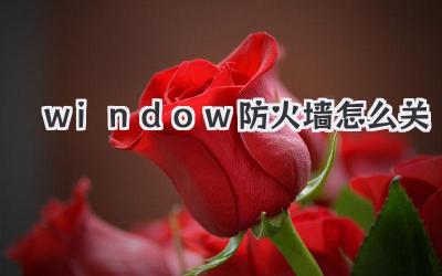window防火墻怎么關