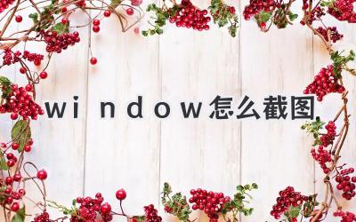 window 怎么截圖