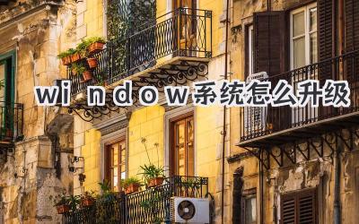 window系統(tǒng)怎么升級