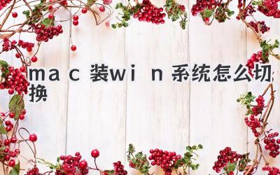 mac裝win系統怎么切換