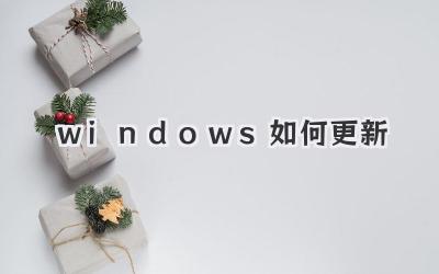 windows如何更新