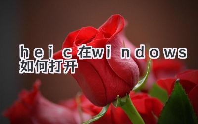 heic在windows如何打開