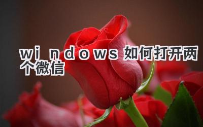 windows如何打開兩個微信