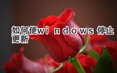 如何使windows停止更新