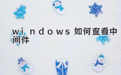 windows如何查看中間件
