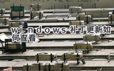 windows補(bǔ)丁更新如何查看