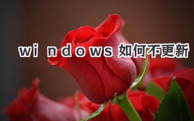 windows如何不更新