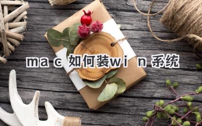 mac如何裝win系統
