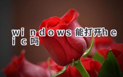 windows能打開heic嗎