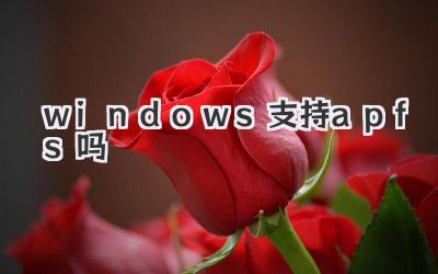 windows支持apfs嗎
