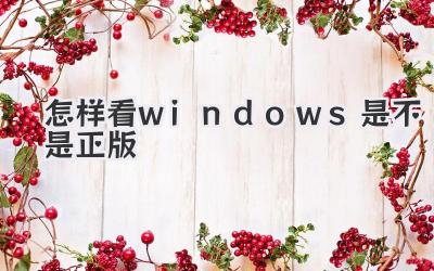怎樣看windows是不是正版