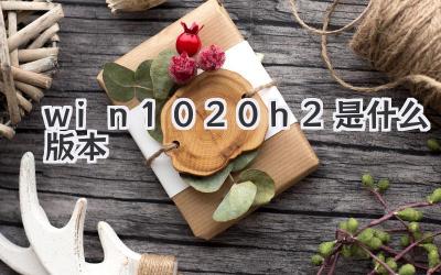 win10 20h2是什么版本