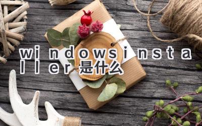 windowsinstaller是什么
