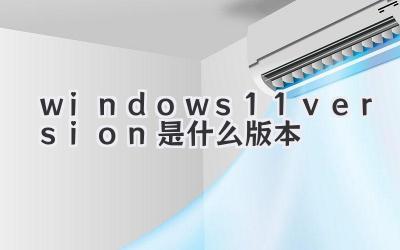 windows11version是什么版本