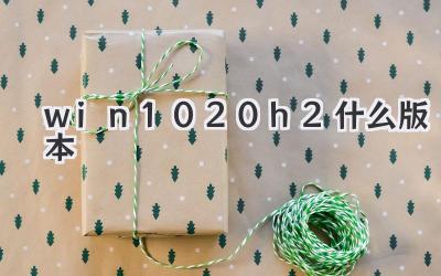 win10 20h2什么版本