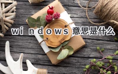 windows意思是什么