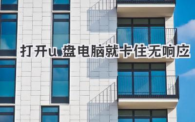 打開u盤電腦就卡住無響應