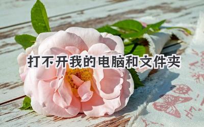打不開我的電腦和文件夾