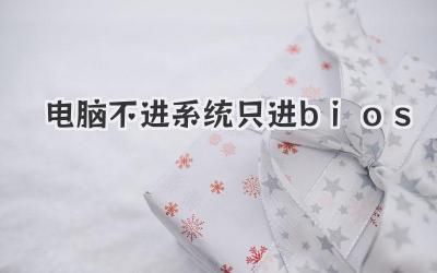 電腦不進系統只進bios